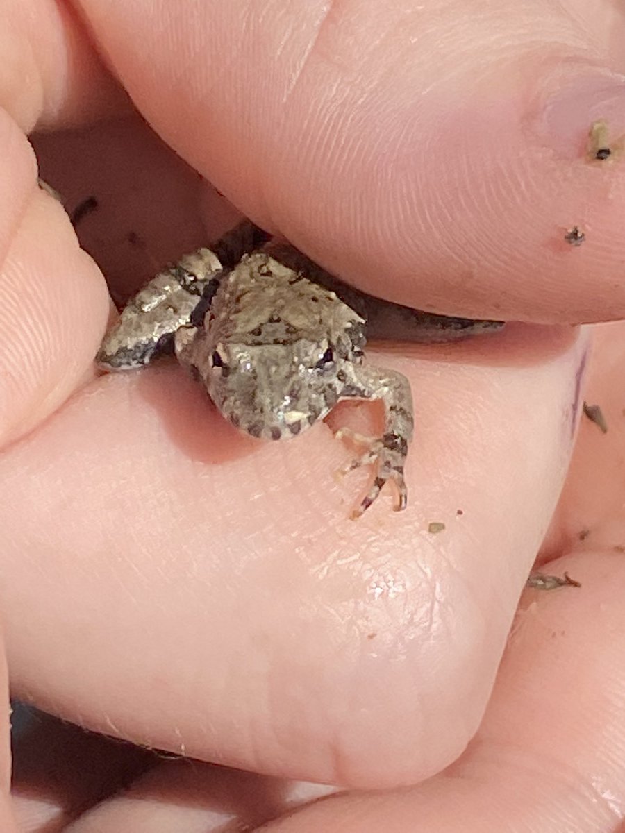 saginawenviro tweet media