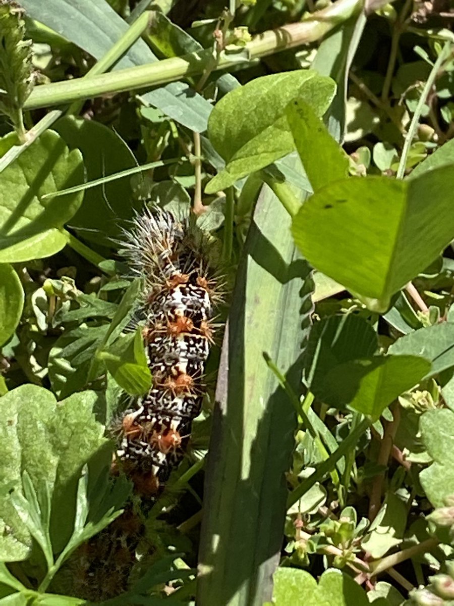 saginawenviro tweet media