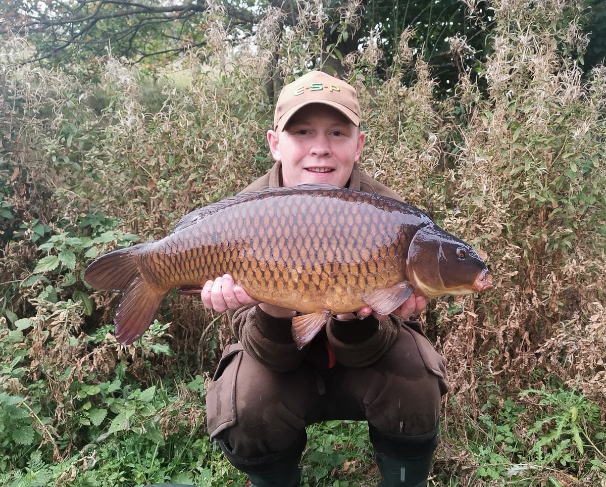 Infantrycarpers tweet media
