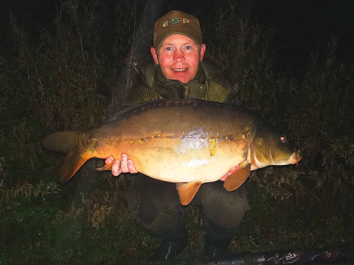 Infantrycarpers tweet media