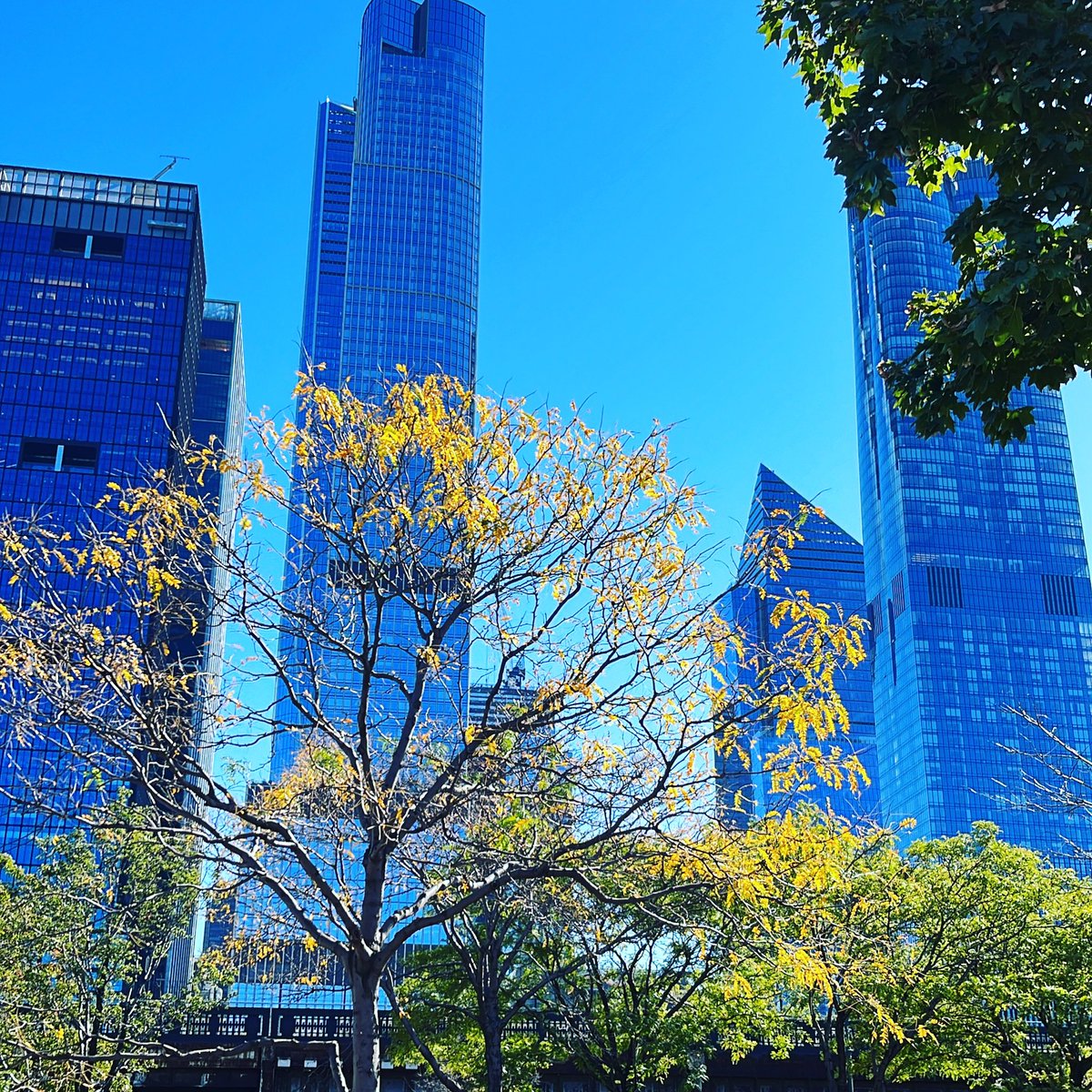 From UWS to battery park. great workout in this perfect weather. Autumn in Manhattan, love u, for u!