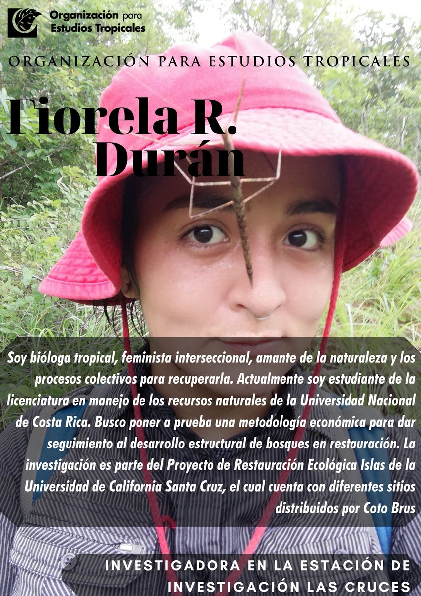Tropical Studies tweet media
