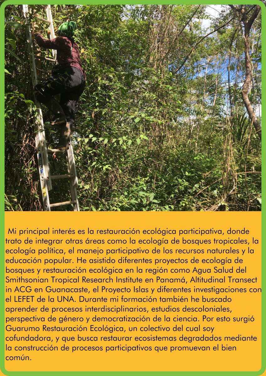 Tropical Studies tweet media