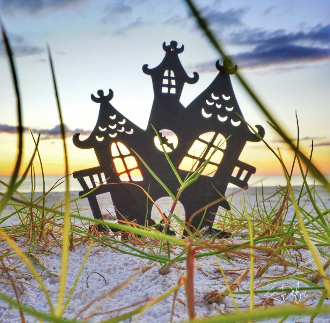 Ric_Kearbey's tweet photo. It’s Halloween at the beach. Love it! Great capture by Karen DeFelice 👉 @sunshine.by.design in Sarasota! 👻 https://t.co/i6bs2JS273