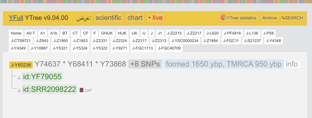 يسرني الأعلان عن نتيجة شريحة العينة رقم 25410  للاخ زهير بختي من الجزائر ذي الموروث الاندلسي التي سبق الإعلان عنها موجبة للتحور الفهمي القيسي fgc40709 و قد استقرت على الخط الفرعيY60236 الذي عليه نتائج من قطر و البحرين  و الأحواز.