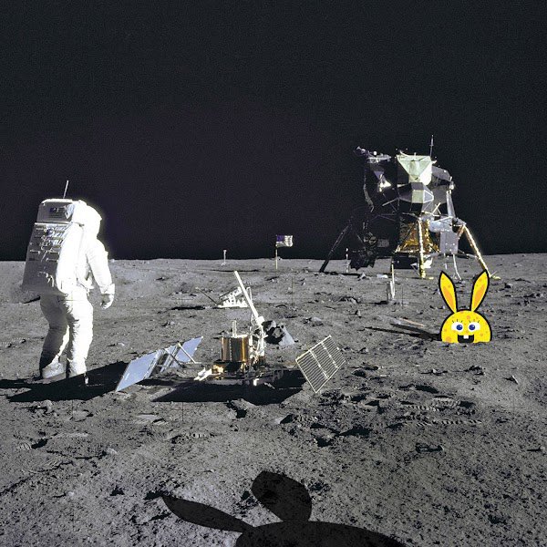 RabbitsCrypto's tweet image. They are all rare. All 1/1. All made by me. What else you want me to offer? 😉 Have you ever think about who took the pictures back in 1968? But don‘t watch it for too long. You will be rabbitized, too.
🐰❤️🥕