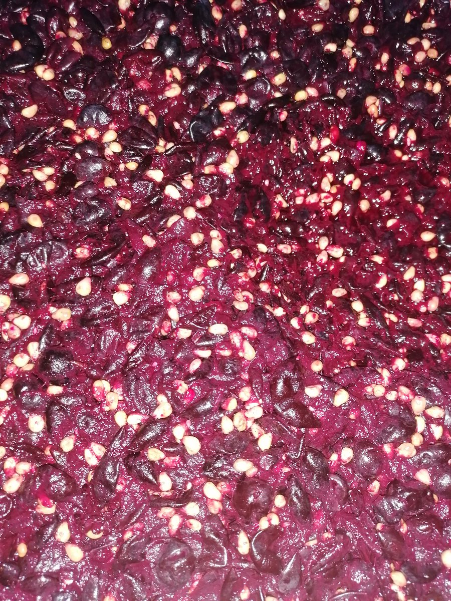 Rondo Grape's , fermentation in progress,  no stalks , only grape's, we are doing a maceration on the skins , during initial ferment , this will last 4/10 days depending on the flow of the ferment, today we dropped from 1.79 to 1.69,' so realistically the end game is ,0.12