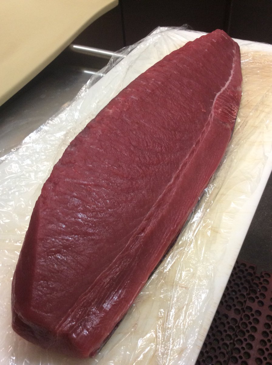 MiyaSushi's tweet photo. Beautiful morning. Got Yellowfin Tuna, Japanese Yellowtail, Halibut, Bay Scallops, Albacore, Crab Meat, Pompano, Freshwater Eel. Broiled Chilean Sea Bass, Albacore Belly. #miyasushi #sushilunch #sushidinner #snowcrab https://t.co/nUllpptXSs