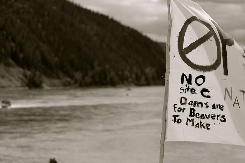 faisal_moola's tweet photo. For once I wished that our politicians listened to the beavers 🦫 and other elements of the natural world, instead of their high-priced political lobbyists and donors. #NaturalWisdom #NoSiteC
Eh @jjhorgan @bcndp 🙄 https://t.co/hOzdY6YIII