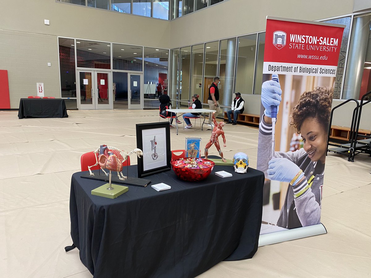 WssuBiology's tweet photo. @WSSUBiology at Fall Open House engaging our #futurerams. #WSSU #bethenext #hbcu #STEM https://t.co/Hwbg2yKigW