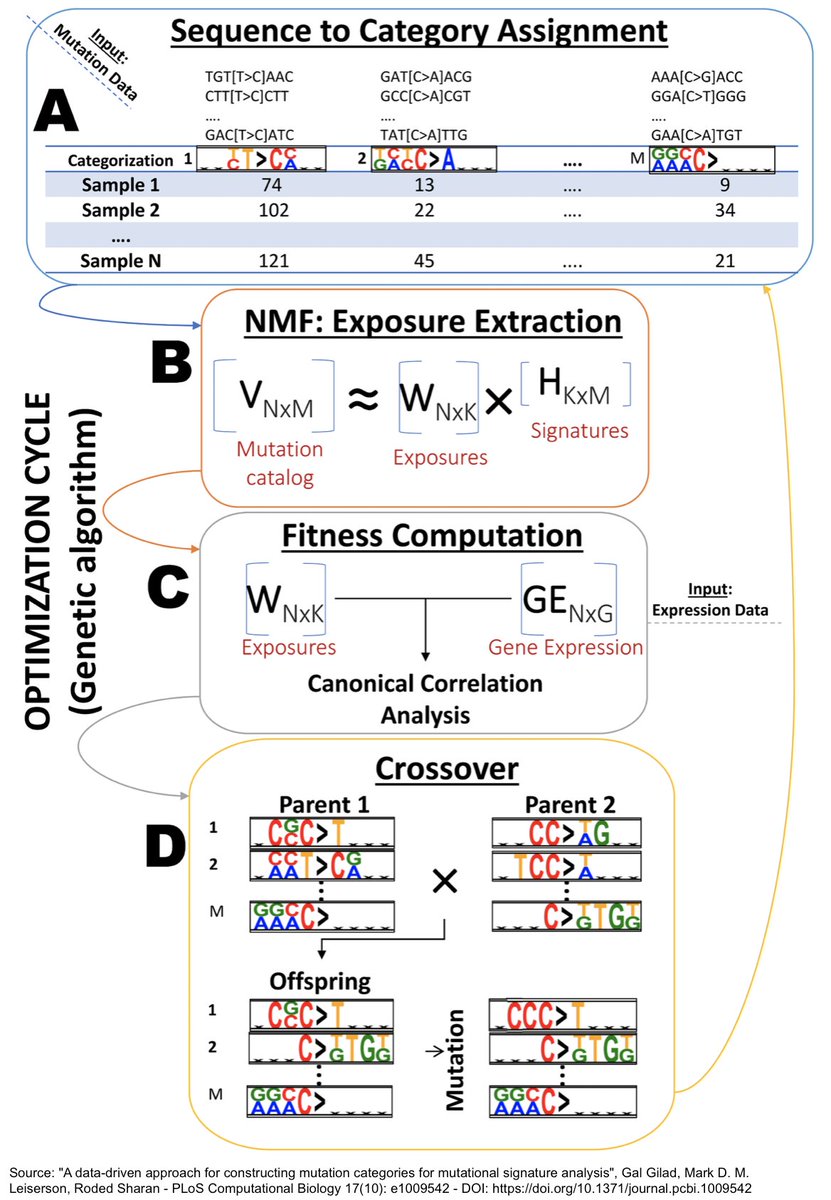 RoyalVoxPost's tweet photo. #Oncology #Genetics #Boinformatics: scientists propose a novel method for classifying the mutagenic mechanisms involved in tumorigenesis. The method could facilitate the identification of mutational signatures associated with DNA repair deficiency - https://t.co/4chOzw4a2E https://t.co/GelpDapl7C