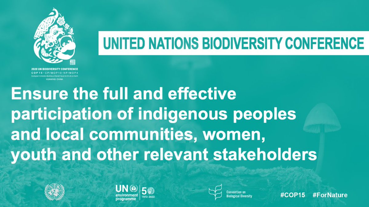 IUCN_Gender's tweet photo. The #KunmingDeclaration - adopted during @UNBiodiversity's #COP15 - recognises the important roles played by #women and girls ♀️
Full text: https://t.co/2iAqpUuhyn https://t.co/uQPo9UUTiN