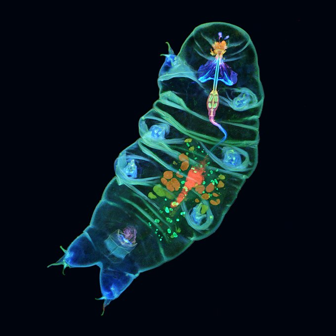 ArtBioCollaborative tweet media