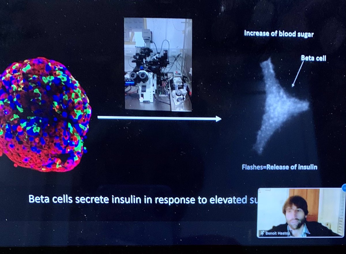 LiS Warren 💙 tweet media