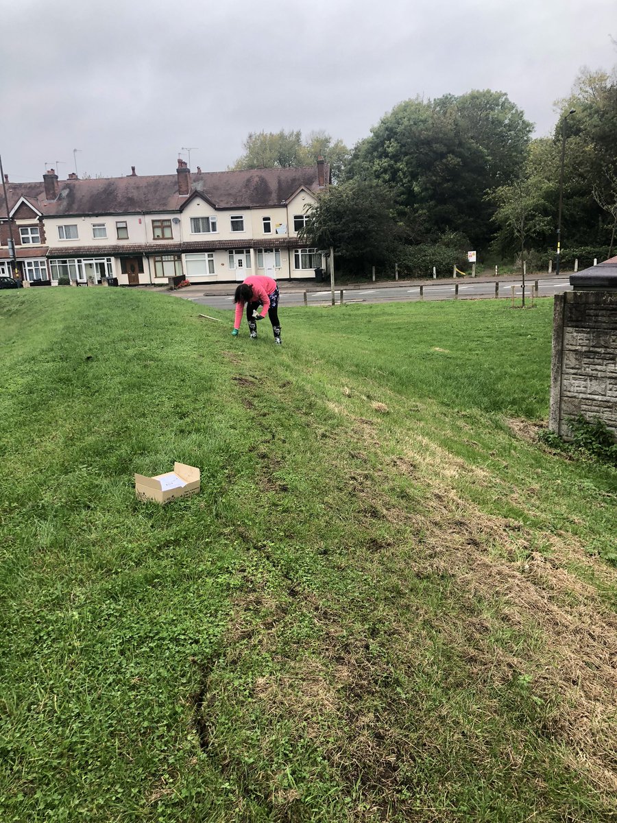 Kimbohud's tweet photo. Had a great soggy girlie afternoon planting bulbs & wildflowers near to @dadslanechippy & found some ?Black cap mushrooms?
#wildflowers #greenopenspaces https://t.co/0LEqpu4grl