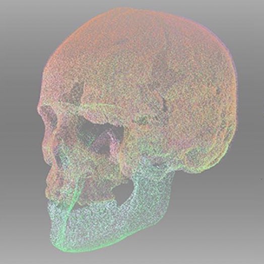 ArtinScienceMA's tweet photo. Today we continued discussions about representations of the human body & scientific objectivity by looking at technologies that digitise & visualise human anatomy with the help of researchers from @facelabljmu.
#3dscanning #volumetricdata #clinicalimaging #sciart #artscience https://t.co/St0SH0KesL