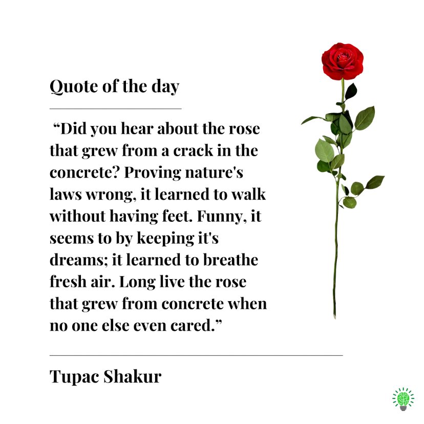 yourbrainbuddy's tweet photo. At YBB, we ❤️ sharing quotes and words that empower us to be strong, tenacious, and fearless — because when you live with a mental health condition, sometimes you just need a simple reminder of how admirable you really are. #MentalHealthMatters #BeTheRose🌹 https://t.co/jLKhNfPO7l