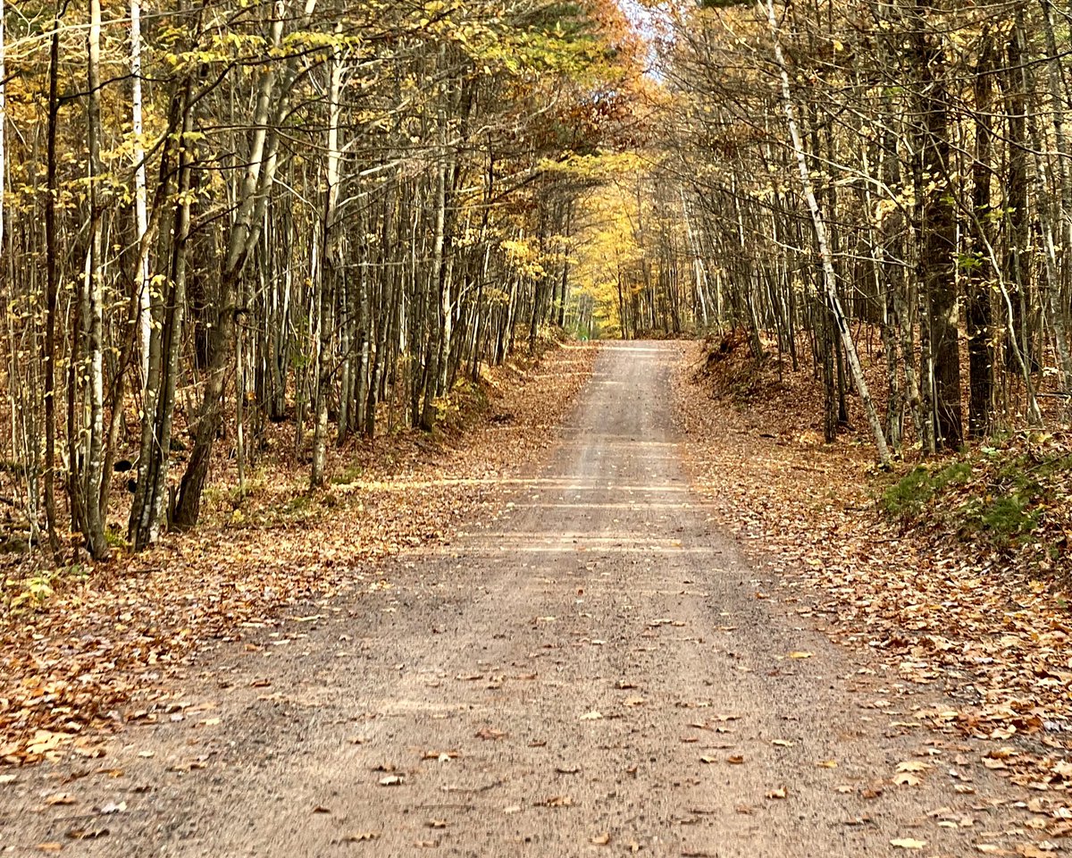 TrevorCochlin's tweet photo. Chequamegon-Nicolet National Forest https://t.co/rRRzsiYEGN