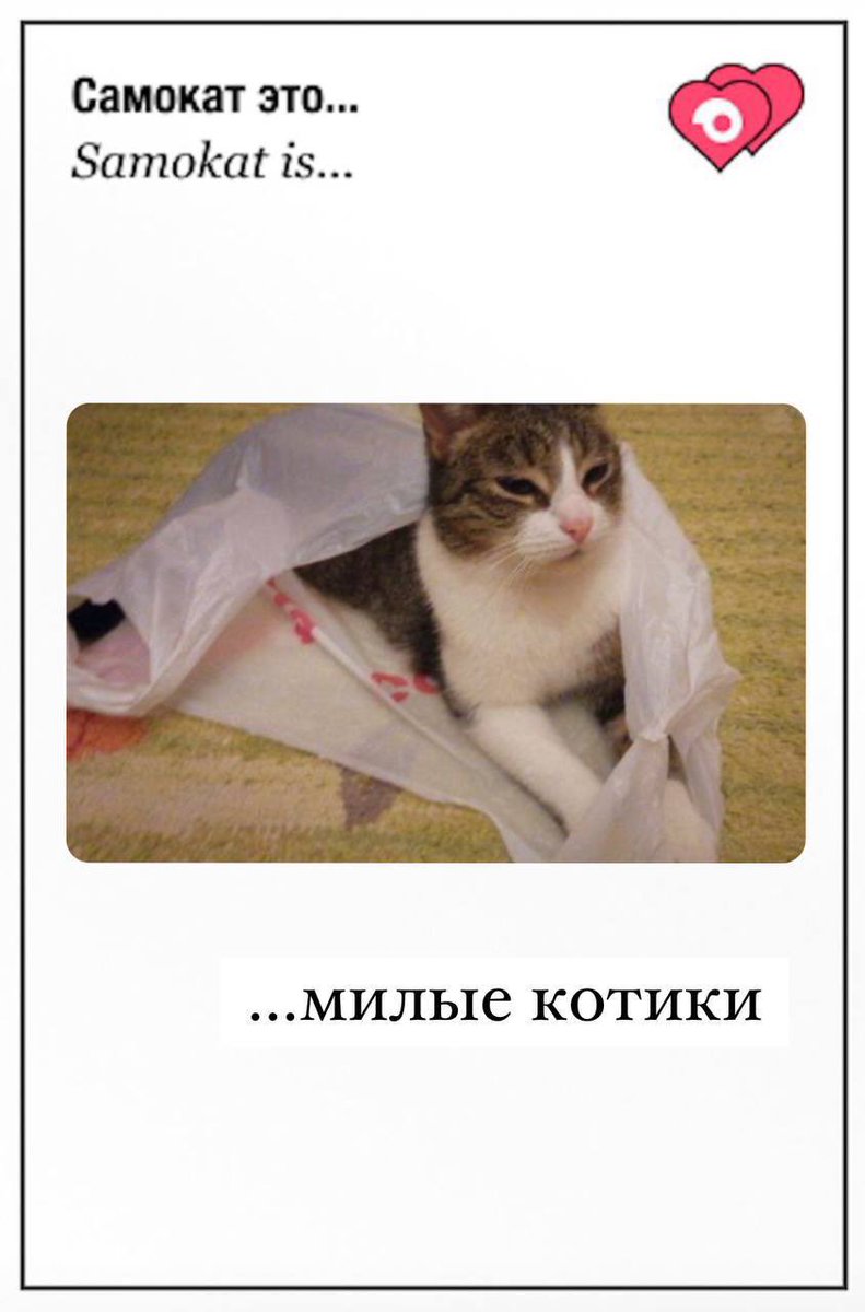 и в честь дня рождения команда поддержки креативила на тему «самокат это», вот несколько из полученных ответов