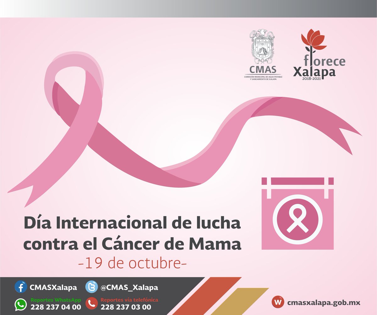 #DíaMundialdelCáncerdeMama
#CáncerDeMama
#Xalapa