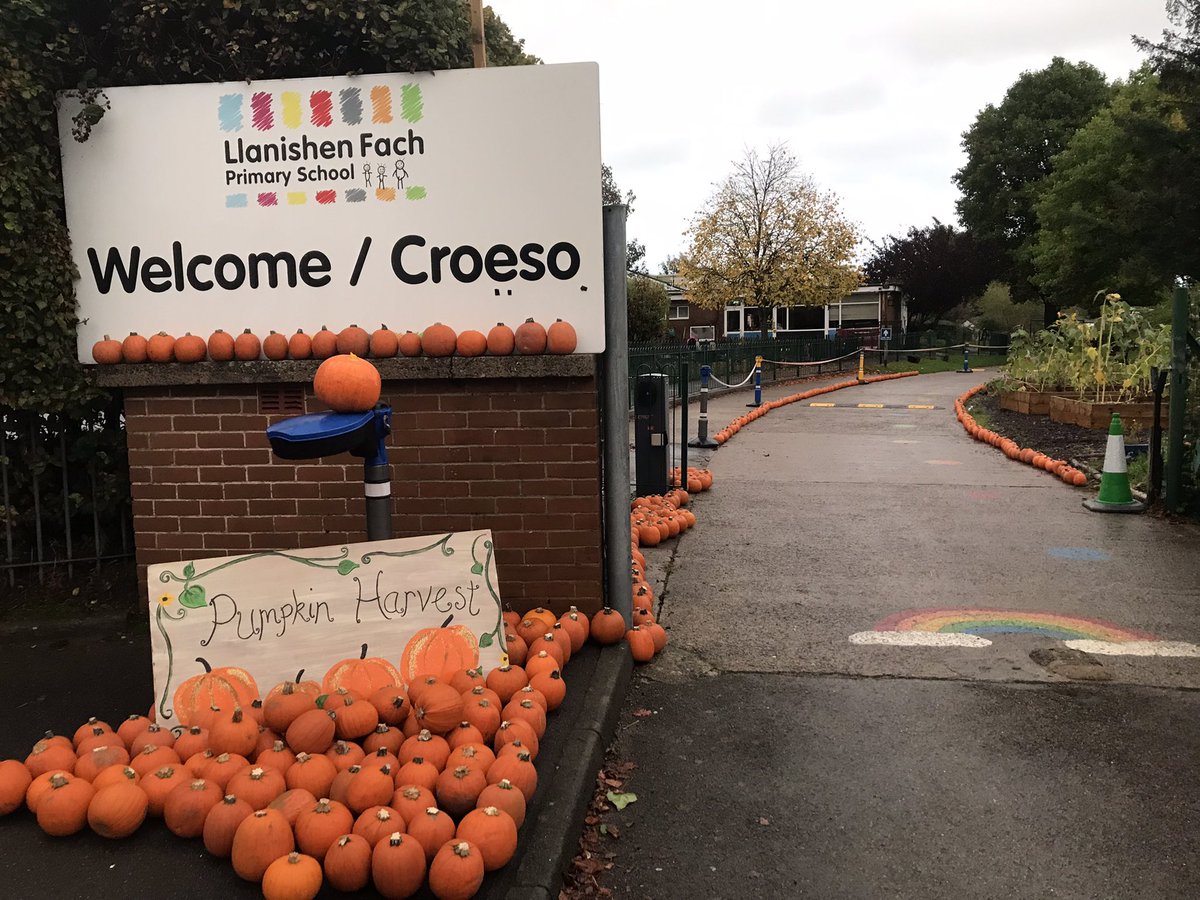 VegCarter's tweet photo. Special delivery of pumpkins to @LlanFachPrm. A pumpkin for everyone child! We can’t wait to see the spooky carvings #buylocal #rhiwbina https://t.co/agFDbtqhlk