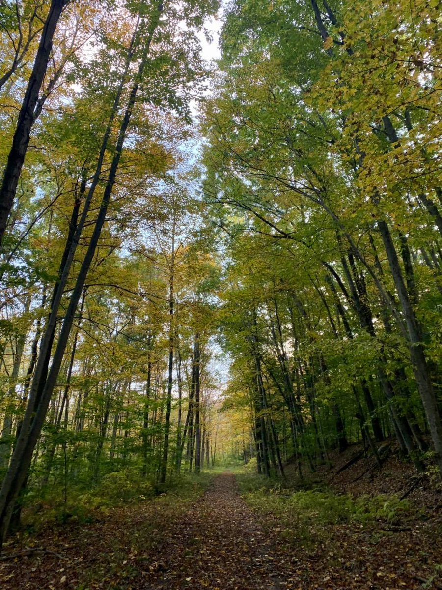 NewJerseyDEP's tweet photo. If these photos don't make you wanna #FallForNJ this season, idk what will.
🍂 Worthington State Forest
🍂 Stokes State Forest
🍂 High Point State Park
🍂 Spruce Run Recreation Area https://t.co/fpAtpK3QaB