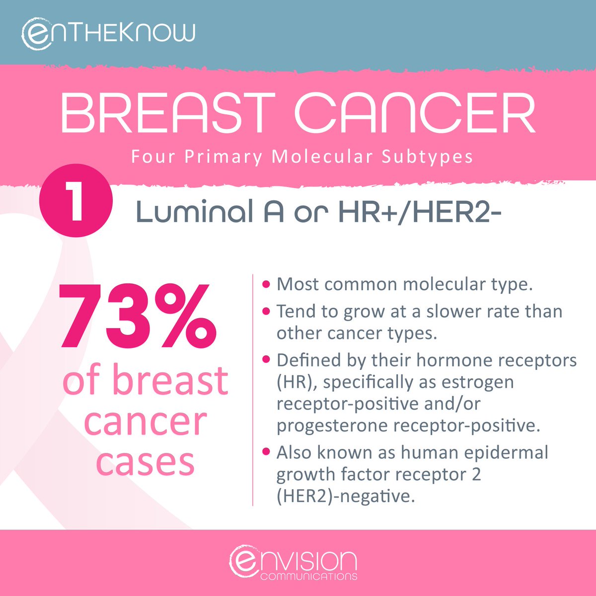 envisioncomm1's tweet photo. Understanding molecular types and why they’re important to your cancer is vital. Did you know Luminal A breast cancers can be treated with hormone therapy drugs that lower estrogen levels or block estrogen receptors? Be #ENtheKNOW #ENVISIONARIES #BreastCancer #breastcancerfacts https://t.co/OJv89fao97