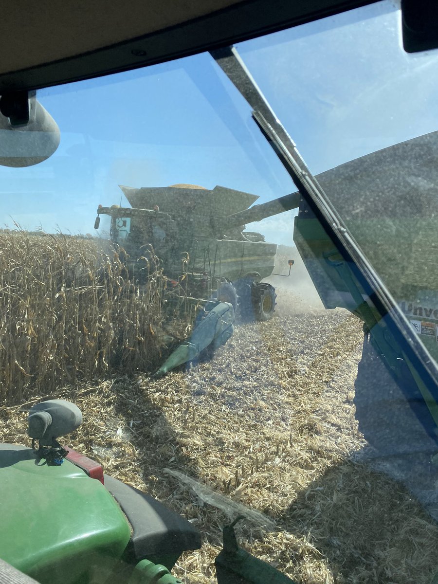 Harvesting one of our NuWay Agronomy corn plots today with @NKHZaharia.  Can’t wait to see how these hybrids perform!  #GirlPower