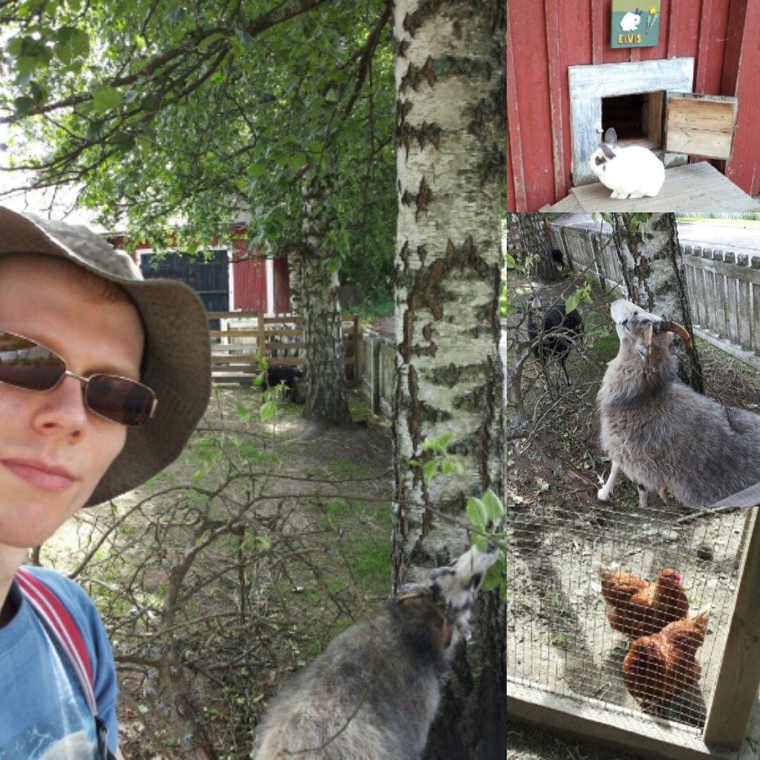 Ilotulite sytytti Suutarilan leikkipuisto Linnunradan navetan tuleen uutenavuotena 2019. Samalla loppui yli 30 vuotta kestänyt kesäeläinten perinne. 🐔🐰

Helsinkiläinen, käy antamassa äänesi OmaStadiin Linnunradan puolesta.🙂

🔗 omastadi.hel.fi/processes/osbu…

#OmaStadi #Helsinki