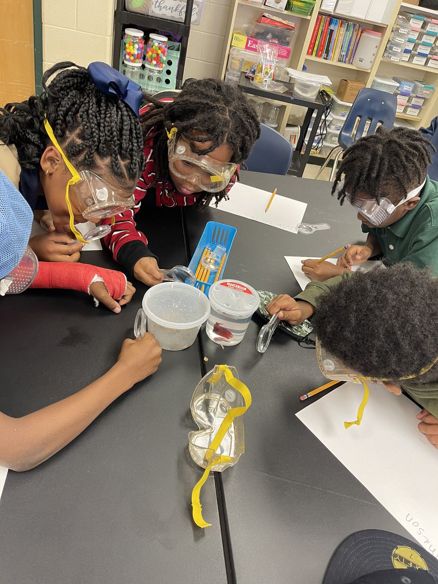KeeWarr's tweet photo. Learning all things organism’s from @MicaelaMRoss today in science lab! We appreciate you Ms.Ross!! 
#ERD #1stgrade #science
@DicksonTigers @PrincipalERD https://t.co/53ipbx29pG