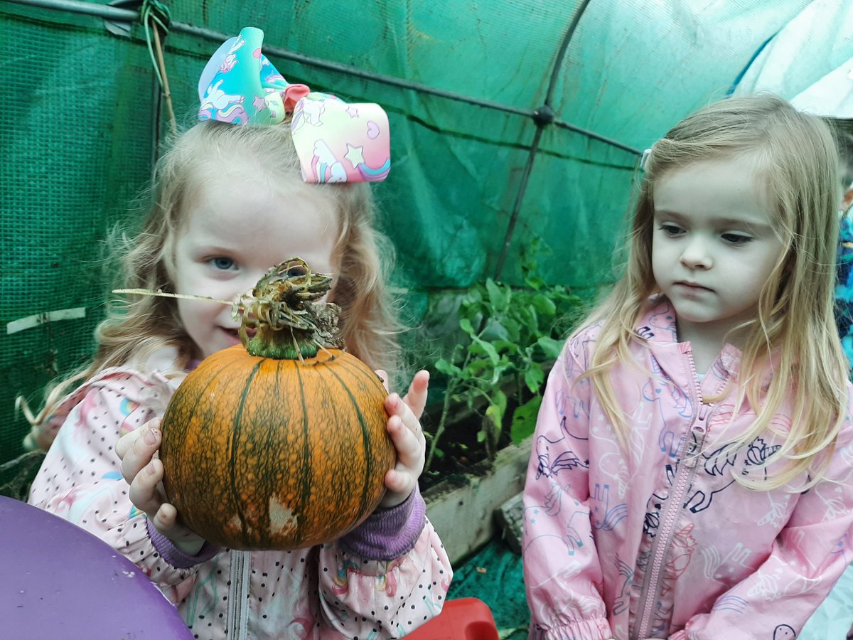 Suzieq1402's tweet photo. Busy bees at @FARE_Scotland Lochend CAllotment with St Clares Nursery. They received @RHSSchools Members plaque. Harvest pumpkin, brussels, curly kale, fed the robins, planted #springingintoaction bulbs ,thanks to @volunteer_scot. #deargreenplace @daviddomoney @Jimmy_FARE https://t.co/nY4lfwsiAE