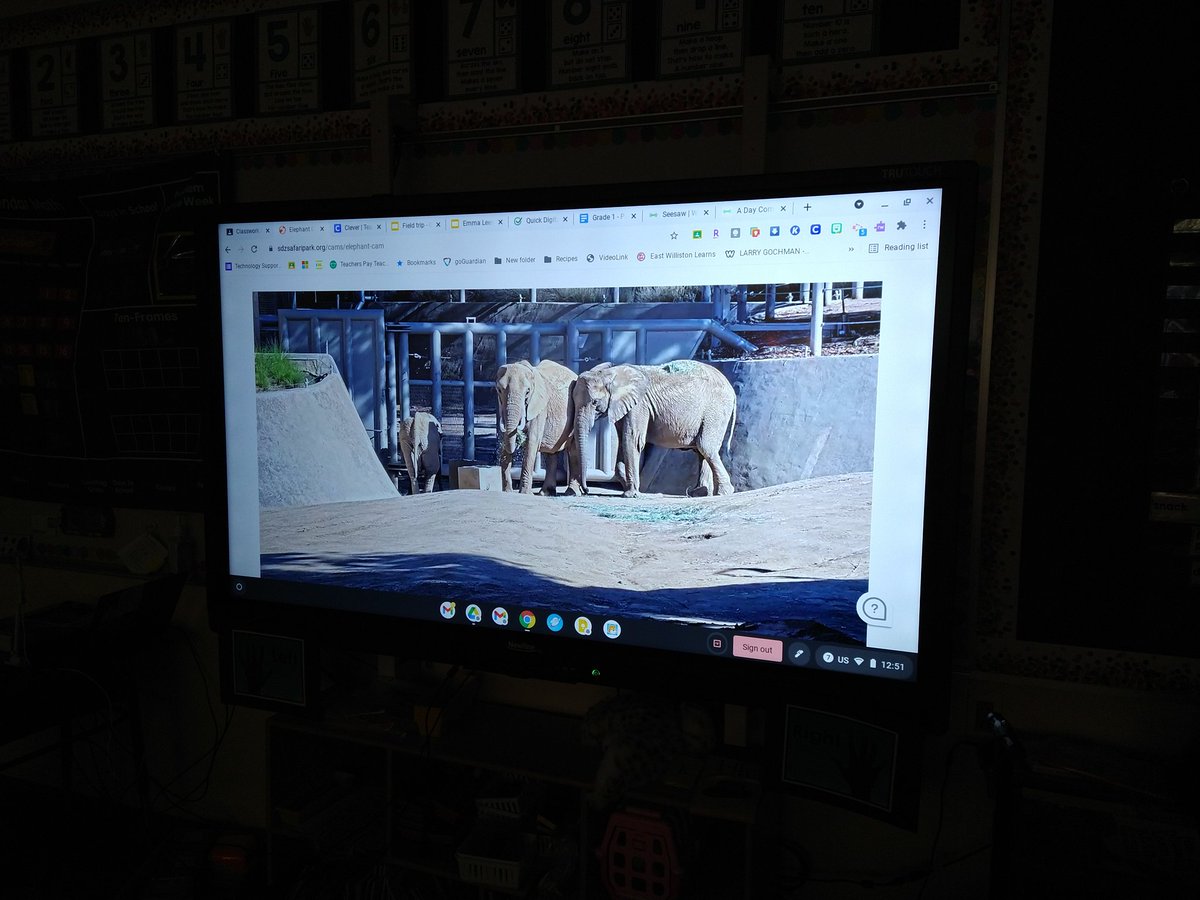 NSComputerTech's tweet image. @NSComputerTech we are participating in our @NorthSideEW Annual Digital Citizenship Week following @CommonSenseEd kdg SS took a virtual field trip to the zoo. 1st gr ss learned the Pause and think before you go online. Watch for other fun DC activities @EWSDTech