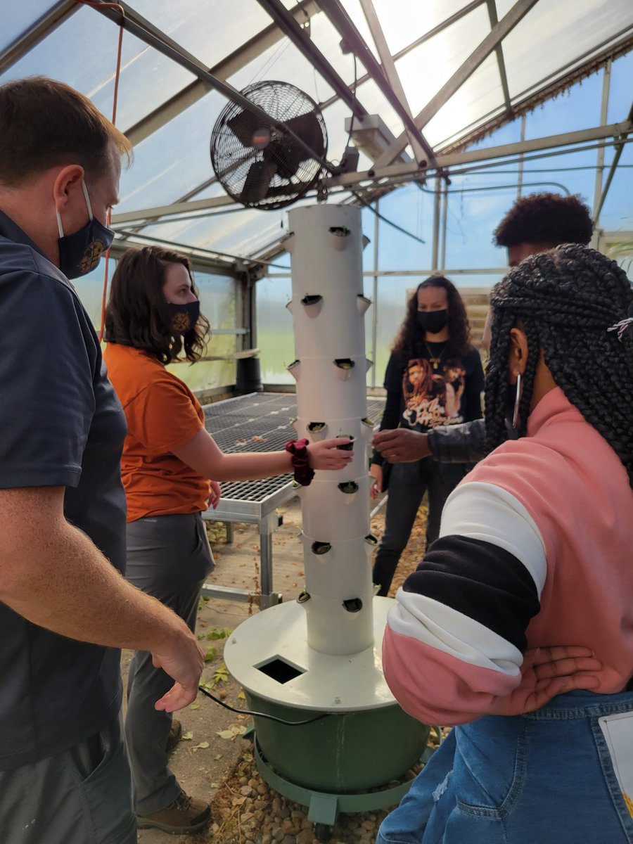 GPHSFFA's tweet photo. Agriculture seniors are growing Bok choy for the local food bank to address hunger in the local community. With assistance from @SchmidtCenter, @UMdExtension, @community, @Melissa90908196, @endhungerMD https://t.co/3IrUANwPP3