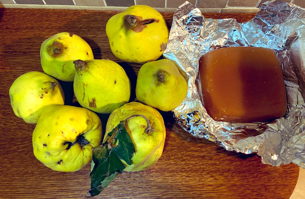 aresrafel's tweet image. 😋 #codonys #codonyat #hortdemodesto #pallars