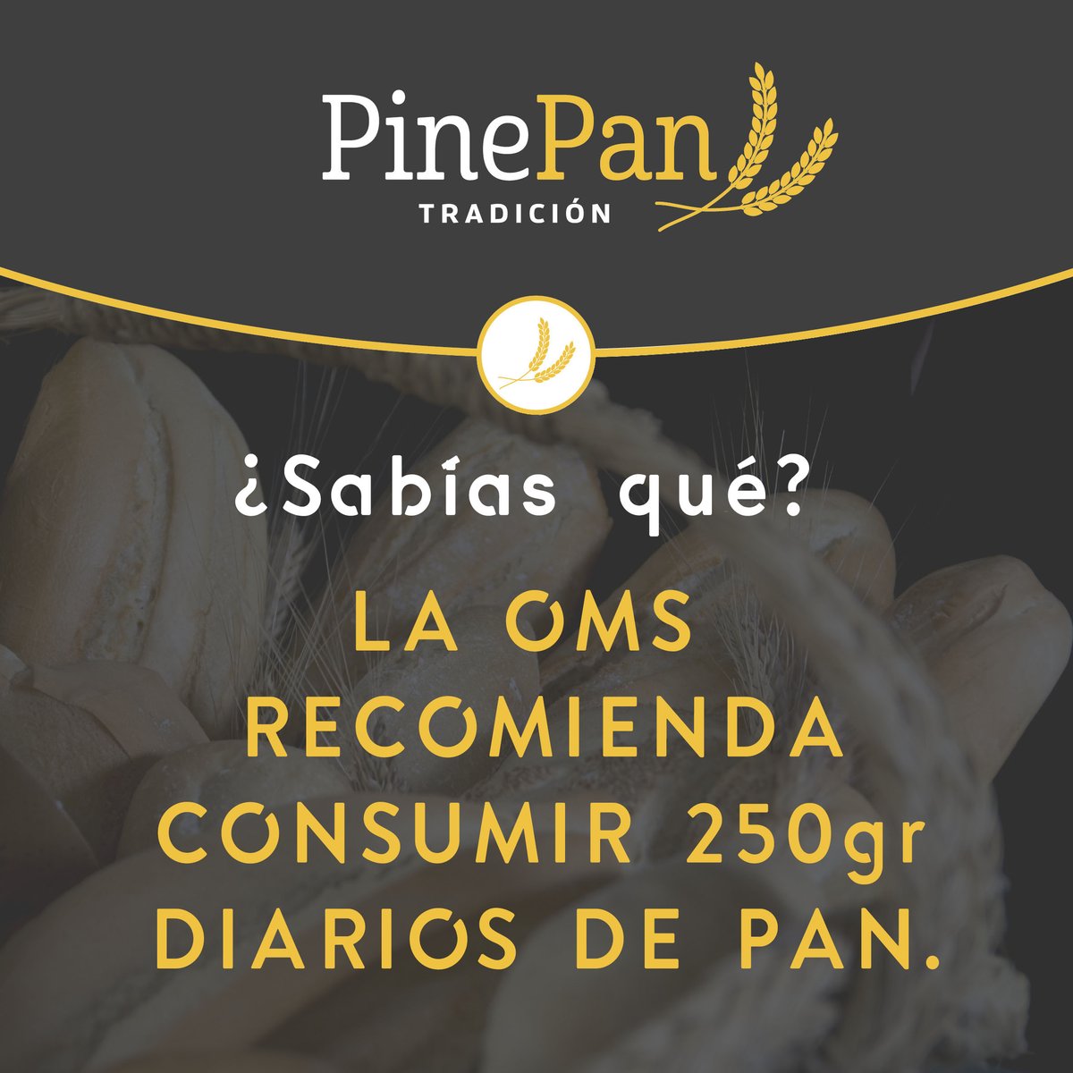 PINEPAN_'s tweet photo. ¿𝐒𝐚𝐛í𝐚𝐬 𝐪𝐮é?🤔 
👉  La OMS, recomienda consumir 250gr de pan diarios. Los considera necesario se indispensables para una buena nutrición.
 𝙔 𝙩ú, ¿𝙘𝙤𝙣𝙨𝙪𝙢𝙚𝙨 250𝙜𝙧 𝙙𝙚 𝙥𝙖𝙣 𝙙𝙞𝙖𝙧𝙞𝙤? https://t.co/e32KN3gddR