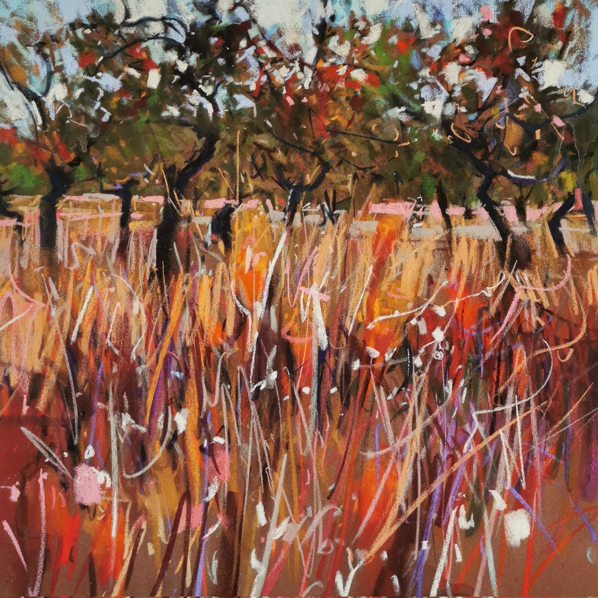 Almond trees Andalusia, pastels on sanded card approximately 19 x 20 inches.