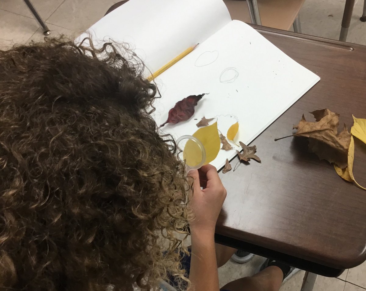 Second grade students are studying nature closely this week and using sketchbooks to record their discoveries and observations. Science + art = awesome!