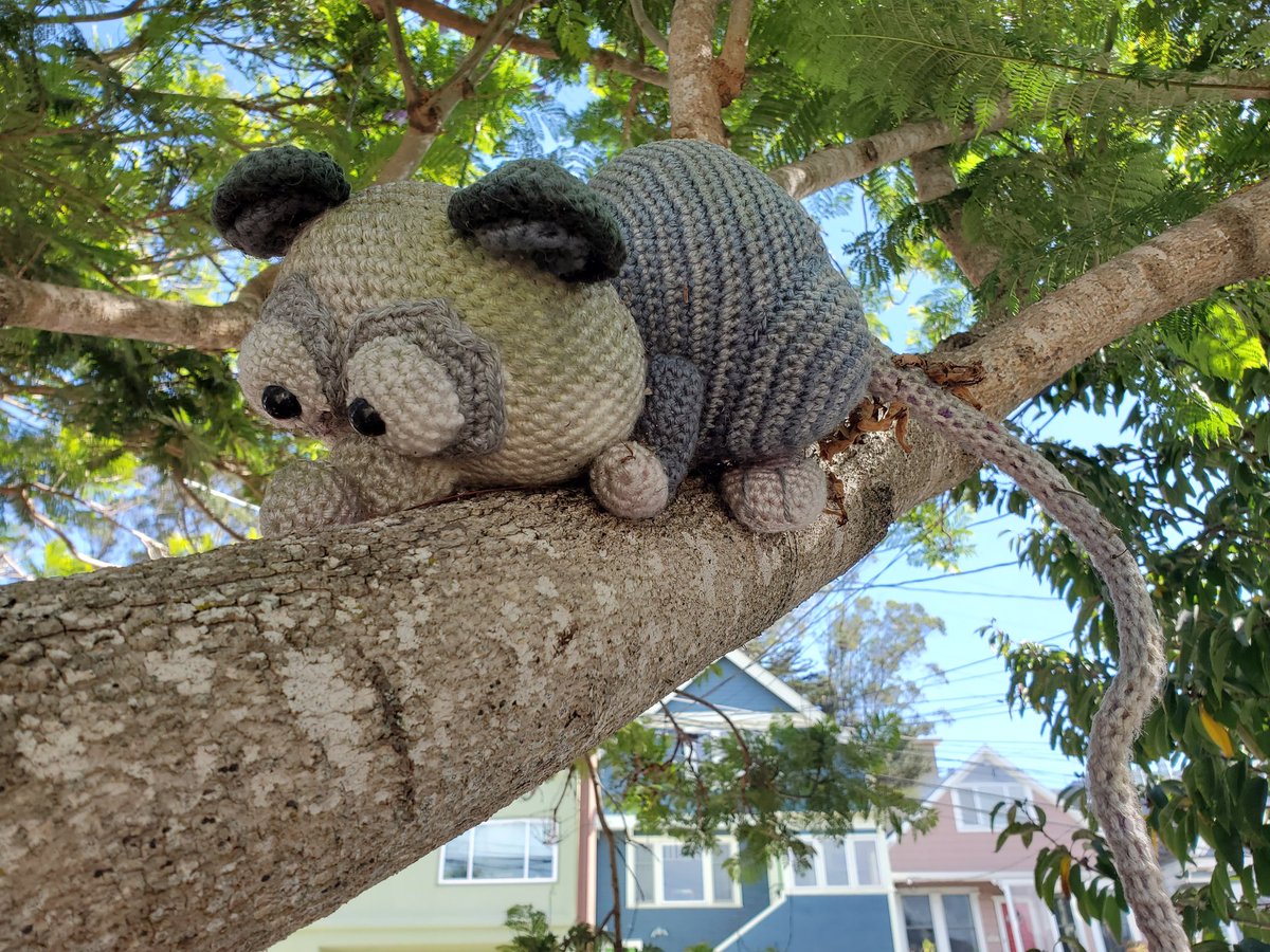 jeffreytumlin's tweet image. My husband crochets small animals that he ties to neighborhood street trees. He is well known by local children. So sometimes we find special request notes on our porch