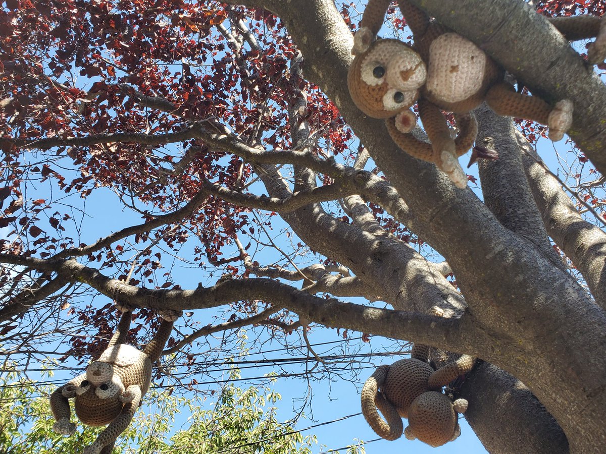 jeffreytumlin's tweet image. My husband crochets small animals that he ties to neighborhood street trees. He is well known by local children. So sometimes we find special request notes on our porch