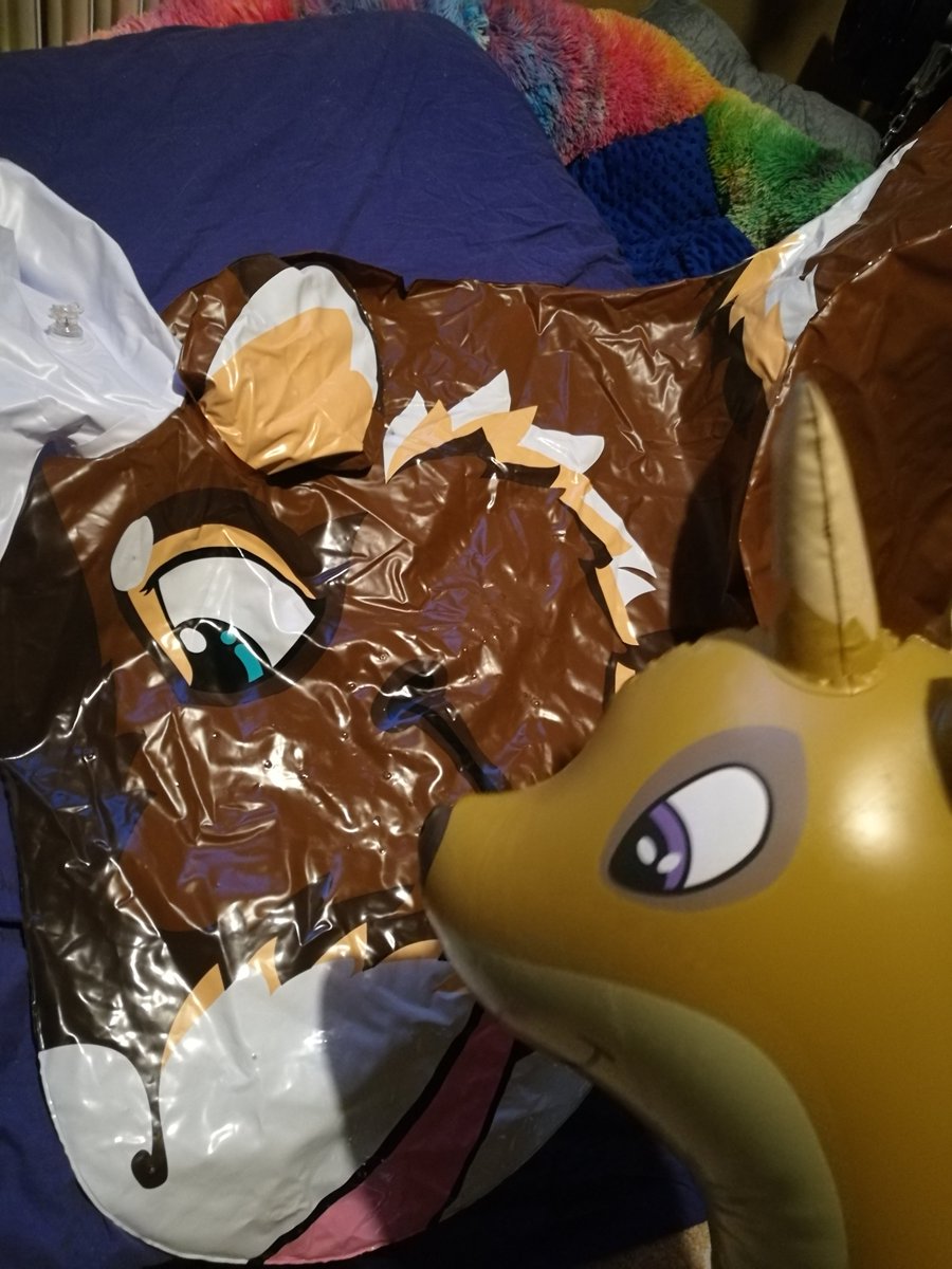 And some shots of his face

#inflatables #inflalove #infla