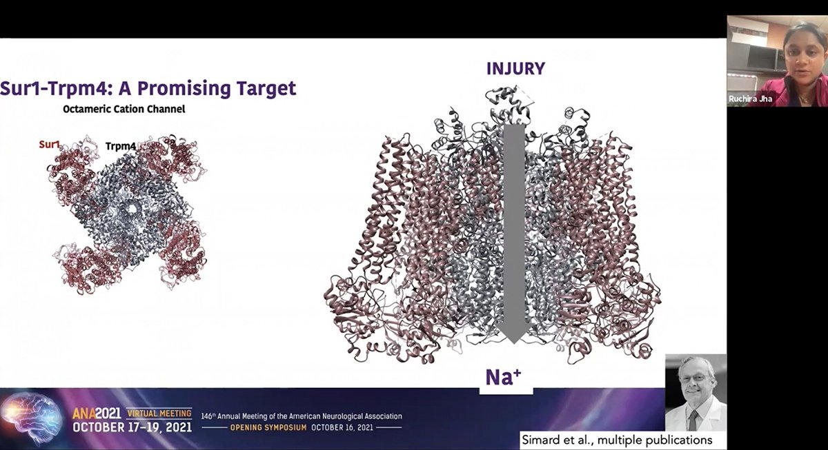 griz1's tweet photo. Cerebral edema is common complication of severe #TBI but can follow different courses. Could expression of #Sur1-#Trmp4 be related? #DrRuchiraJha @BarrowNeuro @TheNewANA1 #ANA2021 @neurocritical @Neurotrauma @neurotrauma2022 @AANSNeuro @HollyEHinson @SMuehlschMD @yoncabulutmd https://t.co/LksTzXHh7c