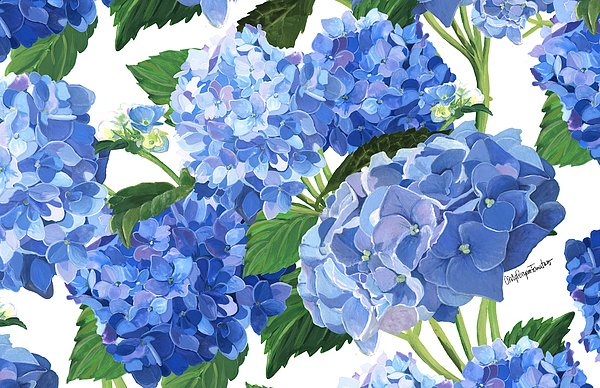 CinForna's tweet photo. New artwork for sale! - "Blue Hydrangeas" - https://t.co/bEFtUoY3ry @shoppixels https://t.co/2zqaT76vwW