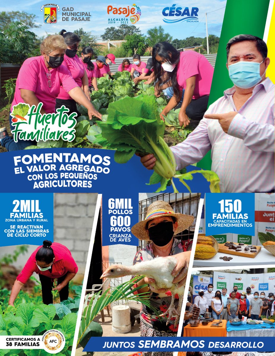 municipiopasaje's tweet photo. Impulsamos la siembra, cultivo y cosecha de ciclo corto. Ejecutamos el proyecto Huertos Agropecuarios Sostenibles junto a los ciudadanos. 1.500 familias de la zona urbana y rural se benefician con el proyecto. 

#JuntosSembrandoDesarrollo
#CésarEncalada 
#AccionesQueValenOro https://t.co/oKbi0XQSYz