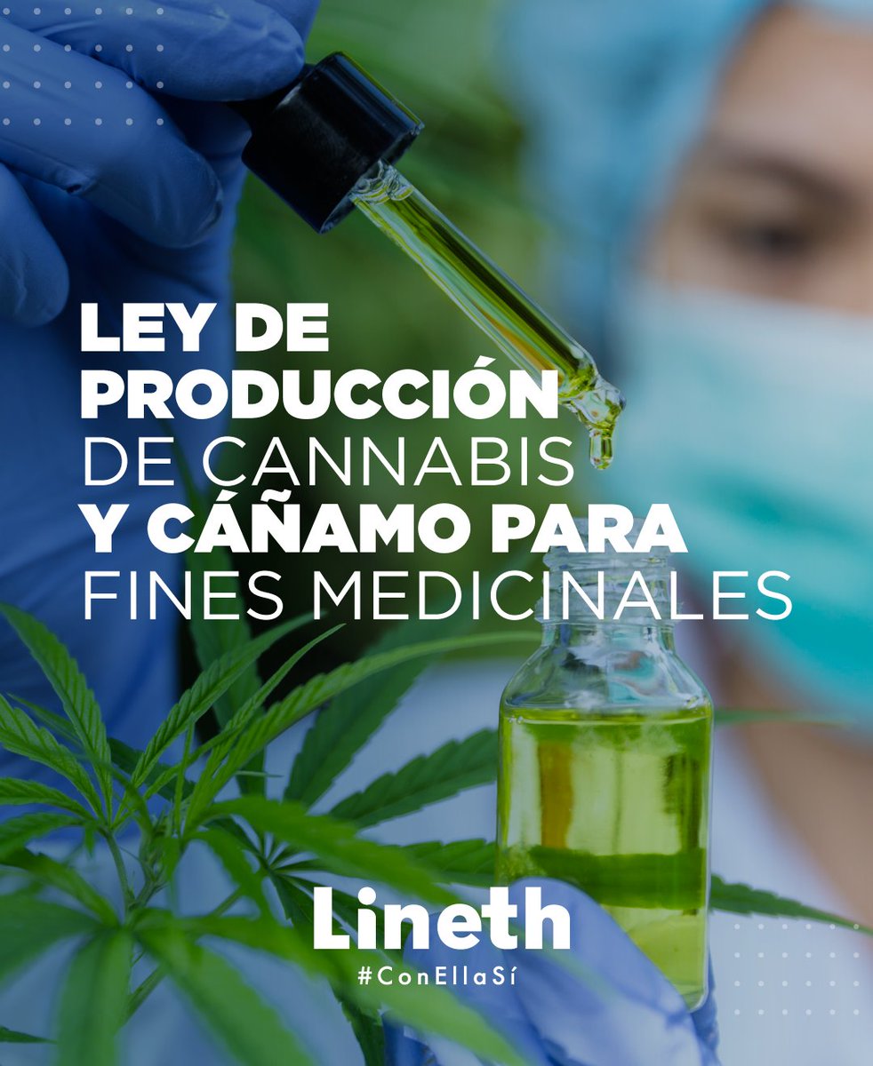 LinethSaborio's tweet photo. El cáñamo y el cannabis medicinal ofrecen una oportunidad para crear empleos, diversificar la producción agroindustrial y generar oportunidades de emprendimiento. 

Los beneficios para la salud y cuidados paliativos son efectivos.

#ConEllaSí ❤️💙 https://t.co/Oq5B7Y4oVH