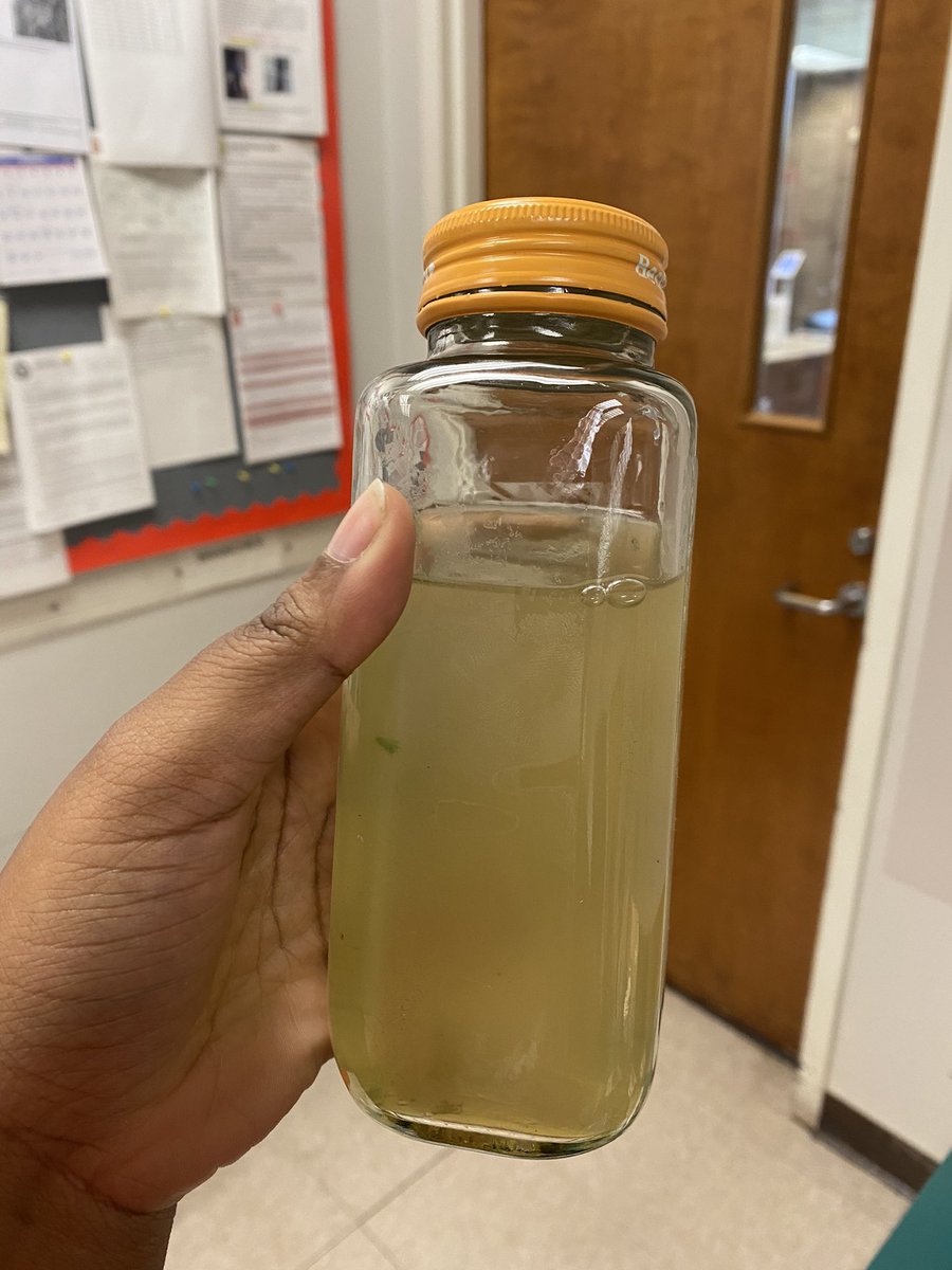 KiddieKhat's tweet photo. Asosi, moringa, parsley and garlic tea.. https://t.co/310fY1scvS