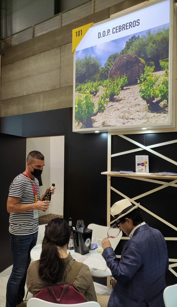 VinosdeCebreros's tweet photo. Día 2⃣ en el @SalonGourmets !!!! 
Y lo que nos gusta a nosotros presentar nuestra #garnacha y #albilloreal, nuestro #granito y #pizarra, nuestras #viñasviejas, nuestra tierra, nuestras montañas y valles, nuestros #VINAZOS. 
#DOPCebreros #SierradeGredos #Ávila #MiProductoSG21 https://t.co/N10YYceuG1
