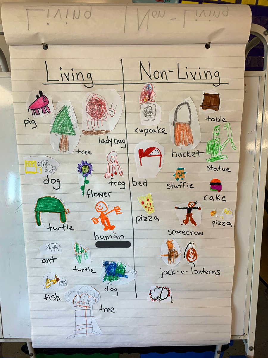 sierrataylor613's tweet photo. Talking about living versus non-livings with Grade 1s today. What makes something a living thing? https://t.co/nzlVUMfRBL