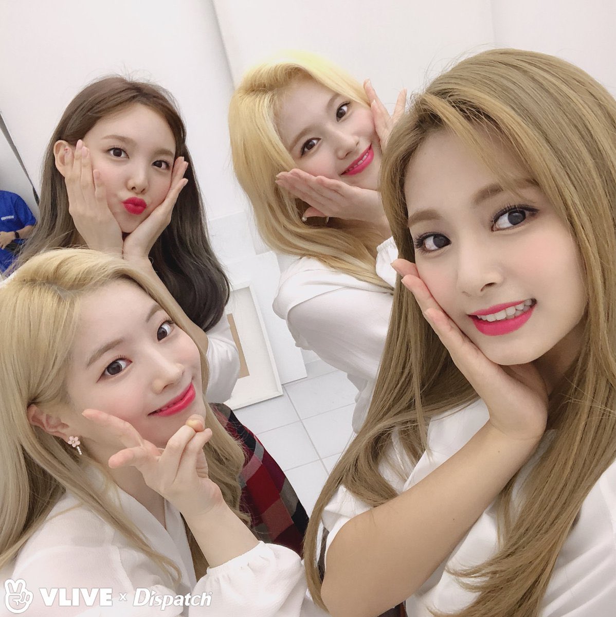 bkobutterflies's tweet photo. happy 6th anniversary my beloveds🫂💗 @JYPETWICE 
#ONE_IN_6_MILLION #트와이스와의_매순간이_눈부셔 #6YearsWithTwice https://t.co/kH7CbZhqfS