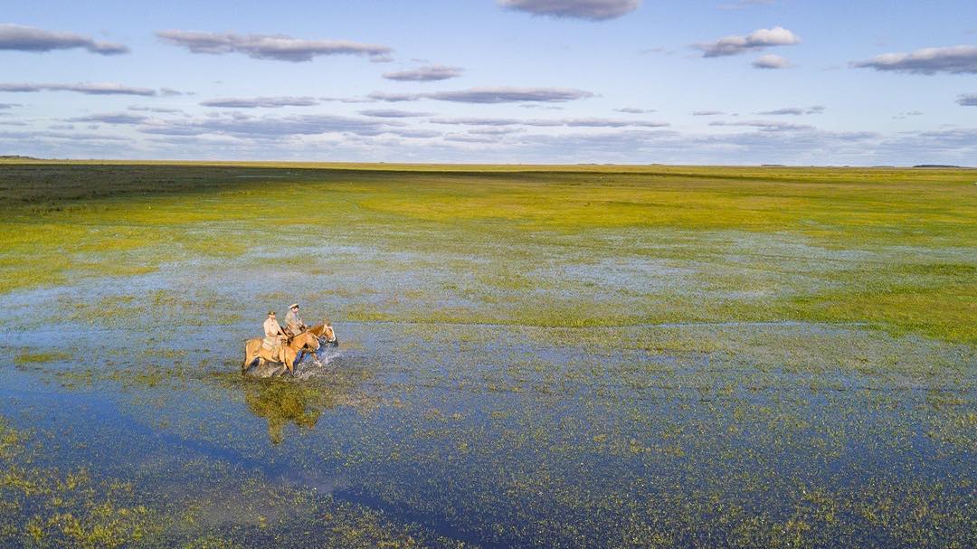 turisargentina's tweet photo. Vida Silvestre, conservación de flora y fauna, turismo aventura, fotografía de naturaleza y mucho más, en el Parque Nacional Esteros del Iberá, en Corrientes. Un canto a la vida. 🙌🐊🍃🇦🇷 https://t.co/kDFNvPxxF8