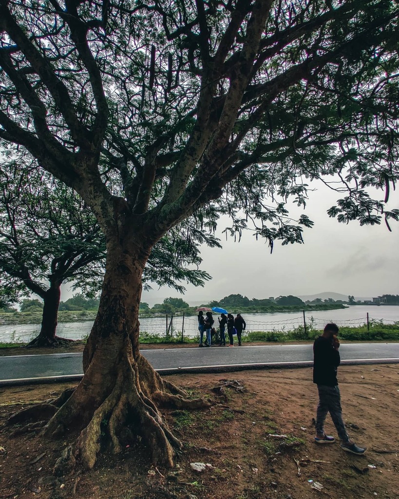 sharathkumar13's tweet photo. Love for the mountains - 5 (shotonmobile)
A village in Masinagudi, Moyar Check dam.
..
..
..
#shotoneplus #OnePlus7t #op7t #mobilephotography #mobilephotography #mobile #edits #travel #stories #photographsbysharathkumar #sharathkumar13 #green #mountai… https://t.co/7iZcL0iBTb https://t.co/DbF2mZMHwm